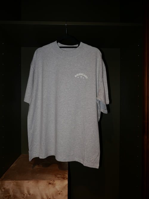 GOLF GUIDANCE GREY